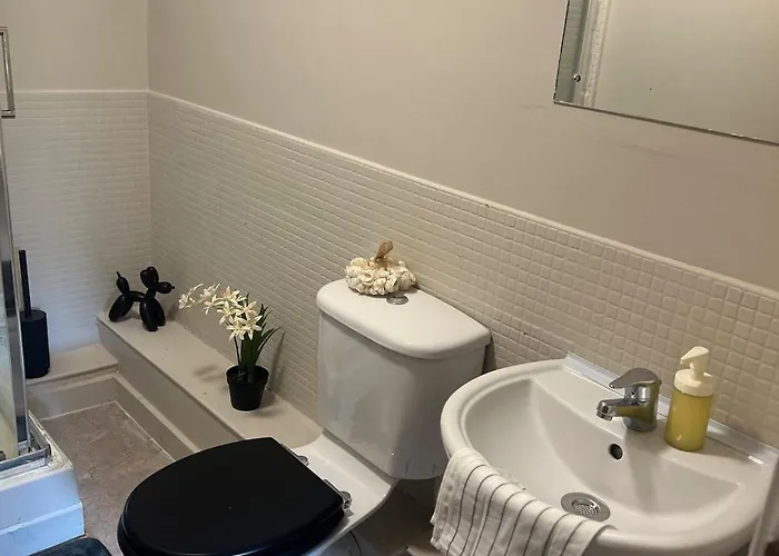 Airport Entire House